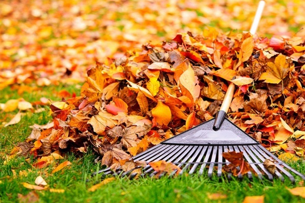 Fall Landscaping