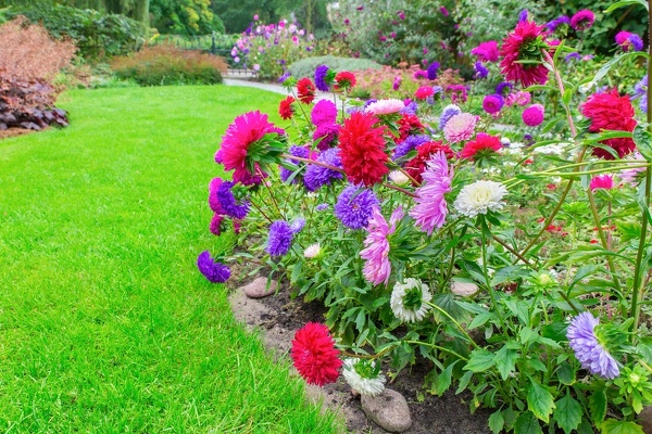 Flower Bed and Shrub Service