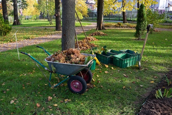 Landscape Cleanups